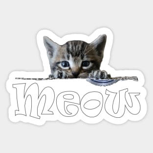 Cute Cats Kittens Meow Sticker